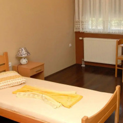 Отель Guest House Vila Bor Нови Сад детские мероприятия фото 2