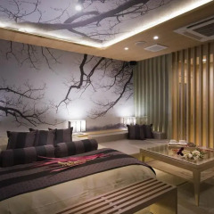Hotel in the Moon 2* Люкс с различными типами кроватей фото 3