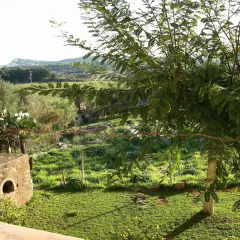 Отель Agroturisme s' Horta фото 2