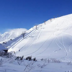 Отель Lodge & Bar Side Hill Хакуба спортивное сооружение