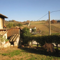 Отель La Pietra Rara B&B Монтоне фото 7