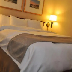 Park Plaza Hotel 3* Стандартный номер фото 6