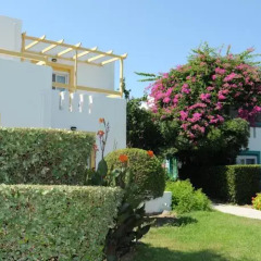 Отель Mastichari Bay Hotel Греция, Калимнос - отзывы, цены и фото номеров - забронировать отель Mastichari Bay Hotel онлайн фото 14