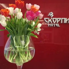 Гостиница Мини-Отель Скорпион в Перми отзывы, цены и фото номеров - забронировать гостиницу Мини-Отель Скорпион онлайн Пермь спа