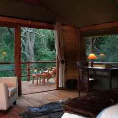 Отель Addo Elephant Back Safaris and Lodge комната для гостей фото 4