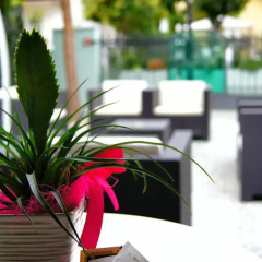 Hotel Arethusa Prestige интерьер отеля