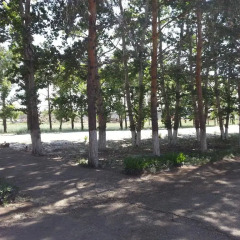 Гостиница Jar Jar Казахстан, Павлодар - отзывы, цены и фото номеров - забронировать гостиницу Jar Jar онлайн приотельная территория