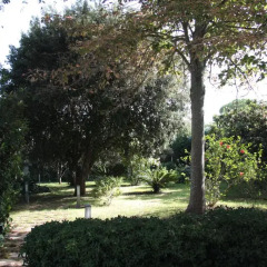 Отель Villa Edera Лечче фото 3