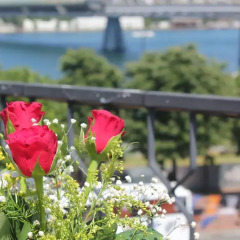 Galata Bridge Apart Istanbul Номер категории Премиум с различными типами кроватей фото 23