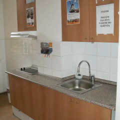 Отель Rooseveltova kolej в номере фото 2