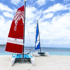 Отель Palm Island Resort All Inclusive фото 2