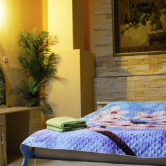 Hotel Nosovikha Номер Делюкс с различными типами кроватей фото 2