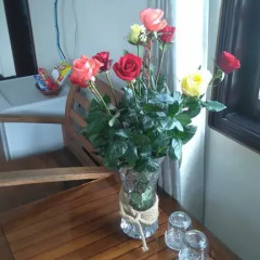 Отель Green Coco Homestay Hoi An 2* Стандартный номер с различными типами кроватей фото 30