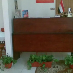 Transit Alexandria Hostel гостиничный бар