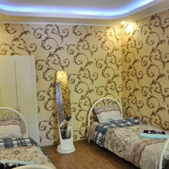 Апартаменты Apartment at Grigola Handzeteli комната для гостей фото 2