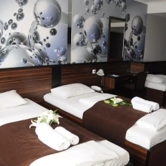 Green Hotel Budapest 4* Улучшенный номер с двуспальной кроватью фото 7