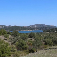 Отель Villa Elixir Rhodos пляж