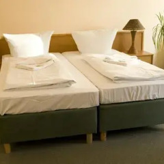 Hotel Pension Rheingold 2* Стандартный номер с различными типами кроватей фото 18