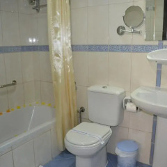 Отель Al Hayat Hotel Apartments ОАЭ, Шарджа - отзывы, цены и фото номеров - забронировать отель Al Hayat Hotel Apartments онлайн ванная фото 3