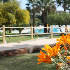 Отель Vila Petra Aparthotel Португалия, Албуфейра - отзывы, цены и фото номеров - забронировать отель Vila Petra Aparthotel онлайн фото 3