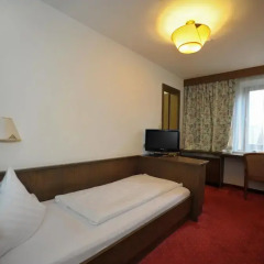 Hotel Goldener Löwe 3* Стандартный номер с различными типами кроватей фото 12