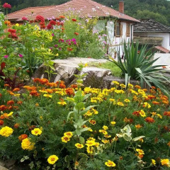 Отель Staroto Shkolo Guest House Боженци фото 7