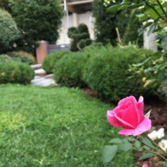 Отель Rosa del Grappa Италия, Роза - отзывы, цены и фото номеров - забронировать отель Rosa del Grappa онлайн фото 2