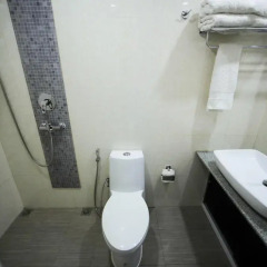 Vilu Rest Hotel 3* Стандартный номер с различными типами кроватей фото 4