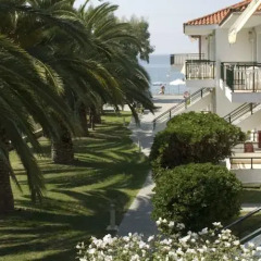 Отель Miramare Hotel Греция, Ситония - отзывы, цены и фото номеров - забронировать отель Miramare Hotel онлайн фото 5
