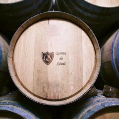 Отель Rural Quinta Do Silval Алижо сауна