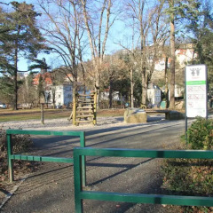 Отель in Dresden am Elbufer Германия, Дрезден - отзывы, цены и фото номеров - забронировать отель in Dresden am Elbufer онлайн развлечения