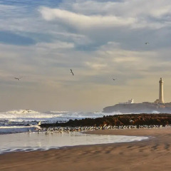 Four Seasons Hotel Casablanca пляж фото 2