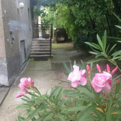 Отель Rose Hill Будапешт фото 2