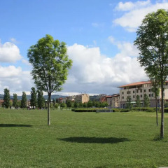 Отель Hilton Garden Inn Florence Novoli спортивное сооружение
