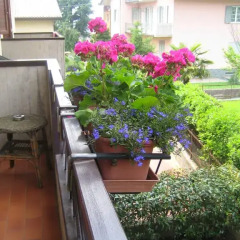 Отель B&B Al Calicanto Стандартный номер фото 7