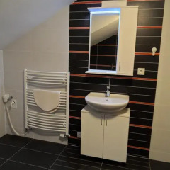 Апартаменты Apartments Verona Karlovy Vary Апартаменты с различными типами кроватей фото 25