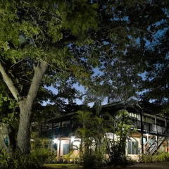 Отель Musket Cove Island Resort & Marina 4* Стандартный номер с различными типами кроватей фото 4