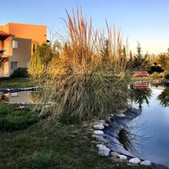 Отель Chaglasian Wine & Suites Сан-Рафаэль приотельная территория