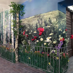 Besedka Hotel Стандартный номер с различными типами кроватей фото 2
