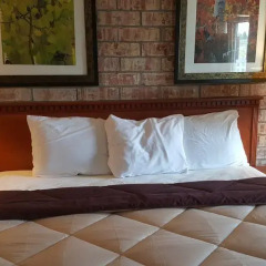 Отель Budget Host Platte Valley Inn 2* Стандартный номер с различными типами кроватей фото 5