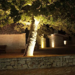 Отель Trulli Pietra Preziosa Италия, Альберобелло - отзывы, цены и фото номеров - забронировать отель Trulli Pietra Preziosa онлайн фото 2
