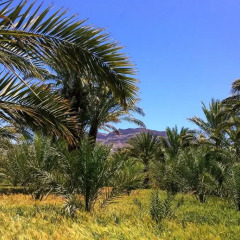 Отель Kasbah Oulad Othmane пляж