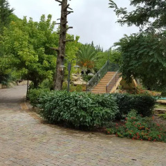 Отель Il Drago Azienda Turistica Rurale Италия, Айдоне - отзывы, цены и фото номеров - забронировать отель Il Drago Azienda Turistica Rurale онлайн фото 12