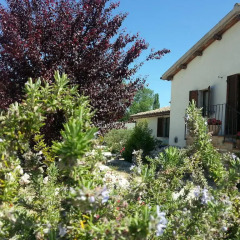 Отель B&B La Torretta Сполето фото 9