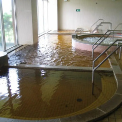 Отель Japanese Auberge Plaza Ryokufu Natural Hot Spring бассейн фото 2