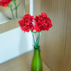 Sude Konak Hotel в номере