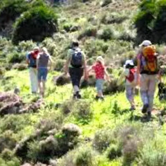 Отель Rural El Picón De Sierra Nevada фото 6