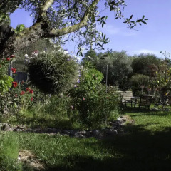 Отель Il Vecchioliveto di Ornella Ористано фото 14