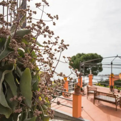 Отель B&B La Mimosa del Golfo Оспедалетти фото 3