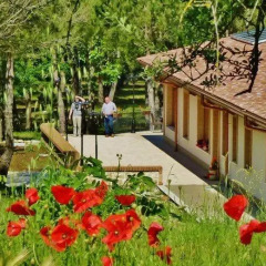 Отель Valle Dei Pini Сперлонга детские мероприятия фото 2